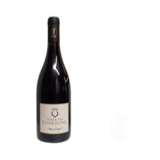 Rhônetal Costières de Nîmes Terre des Chardons Bien Luné 2020