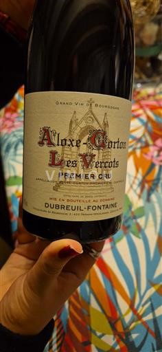 Bourgondië Aloxe-Corton Premier Cru Dubreuil-Fontaine Les Vercots 2022