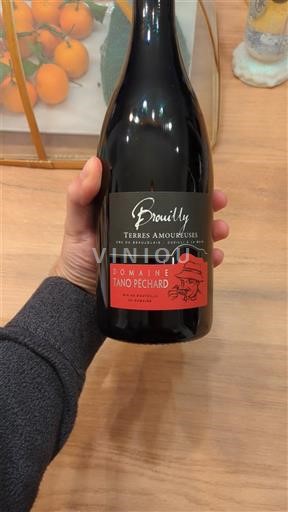 Beaujolais Brouilly Domaine Tano Pechard Terres Amoureuses 2023