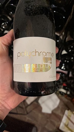 Sud-Ovest Bergerac Montplaisir Polychrome 2021