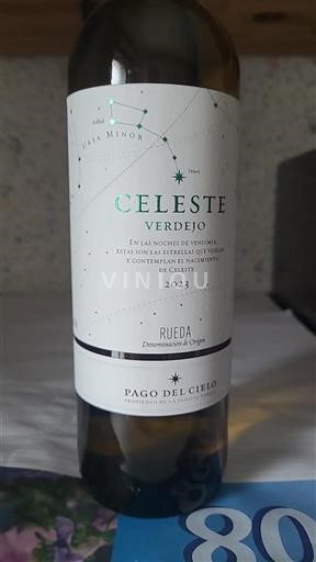 Castilien og León Rueda Pago del Cielo Celeste Verdejo 2023