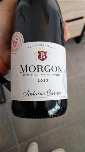 Beaujolais Morgon Antoine Barrier 2023