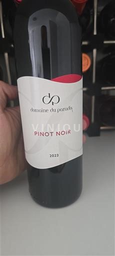 Alsasko Rulandské modré Domaine Paradis 2023