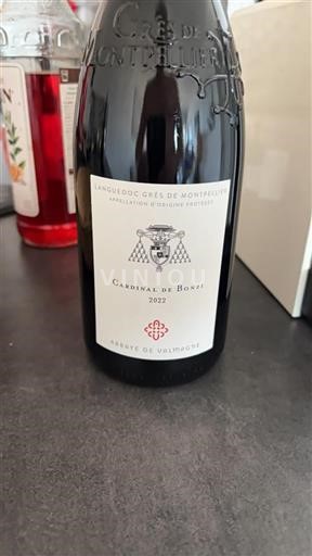 Languedoc Unspecified Abbaye de Valmagne Cardinal de Bonzi 2022