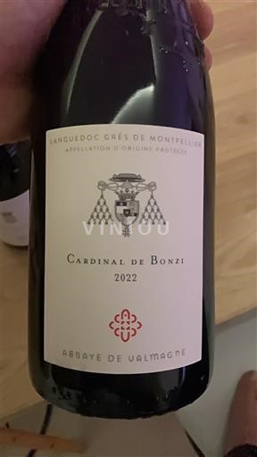 Languedoc Ikke specificeret Abbaye de Valmagne Cardinal de Bonzi 2022