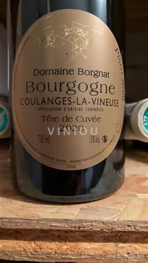 Bourgogne Ospecificerad Domaine Borgnat Tête de 2020