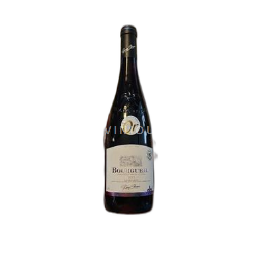 Valle del Loira Bourgueil Pierre Chauvau 2023