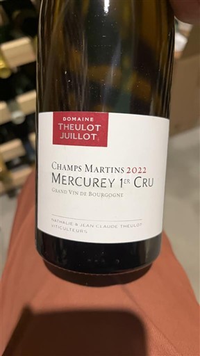 Burgundi Mercurey Premier Cru Domaine Theulot Juillot Champs Martins 2022