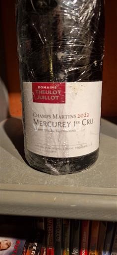 Borgogna Mercurey Premier Cru Domaine Theulot Juillot Champs Martins 2022