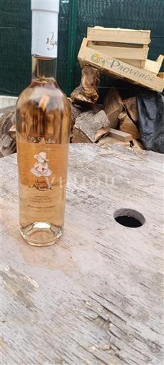 Provenza No especificado Julien Kennel Le Jardin de Nina 2023