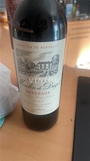 Bordeaux Château Moulin de Duga 2001