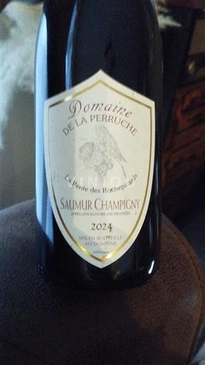 Loirevallei Saumur-champigny Domaine La Perruche La Pente des Rochepicaards 2024