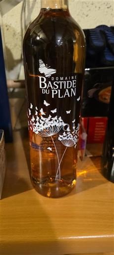Vallée du Rhône Domaine Bastide du Plan 2024