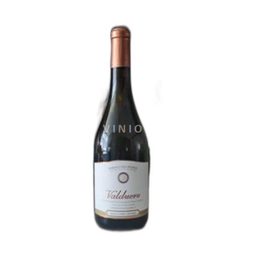 Castilien og León Ribera del Duero Valduero 2023
