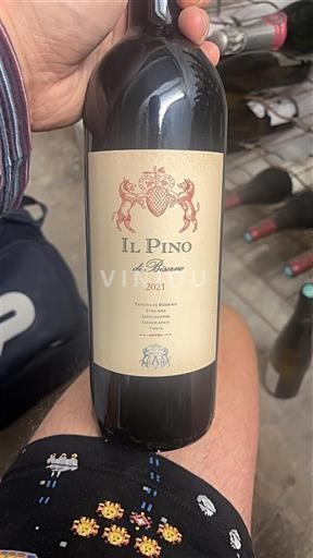 Toscana Määrittelemätön Tenuta di Biserno Il Pino di Biserno 2021