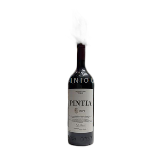 Castilien og León Toro Bodegas y Viñedos Pintia Pintia 2019