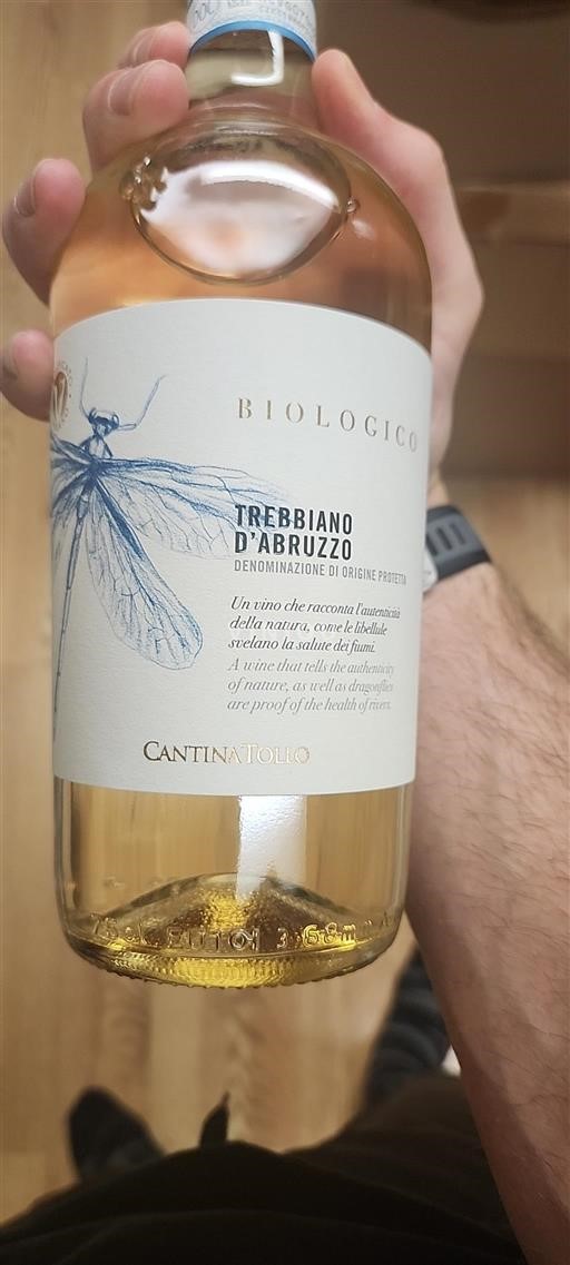 Abruzzo Trebbiano d'Abruzzo Cantina Tollo 2024