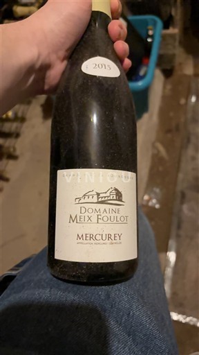 Burgundsko Mercurey Premier Cru Domaine Meix Foulot 2015