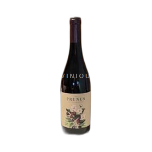 Rhône-dalen Côtes-du-Rhône PRUNUS 2022
