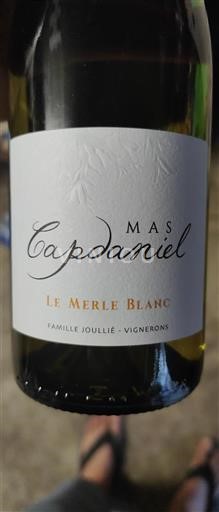 Languedoc Không được chỉ định Mas Capdaniel Le Merle Blanc 2024