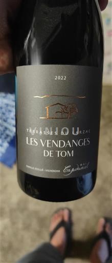 Languedoque Terrasses du Larzac Mas Capdaniel Les Vendanges de Tom 2022
