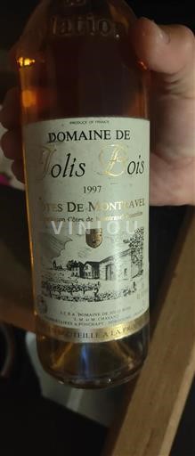 Zuidwest-Frankrijk Côtes-de-montravel Domaine Jolis Bois 1997