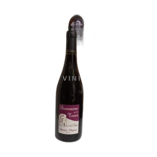 Vin Rouge sec Jeunes Vignes Domaine La Tour 2014 France Vallée de la Loire Chinon AOC