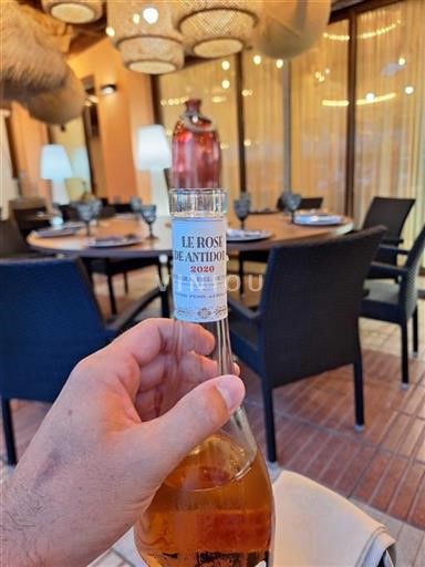 Castilien og León Ribera del Duero Le Rosé de Antídoto 2020