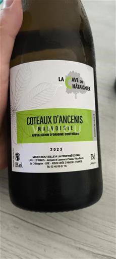 Dolina Loare Coteaux d'Ancenis La Cave du Châtaignier 2023