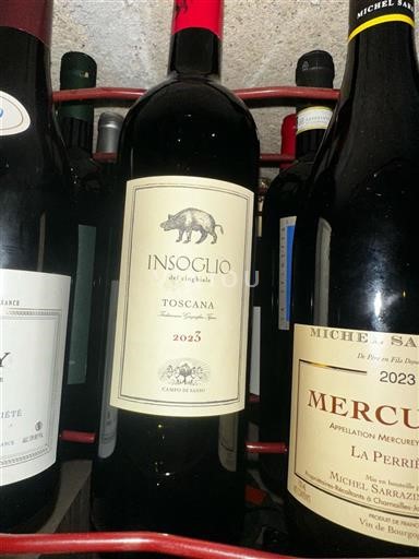 Toscana Non specificato Campo di Sasso Insoglio del Cinghiale 2023