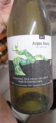 Loiretal Anjou Domaine Des Deux Vallées en terrasse 2017