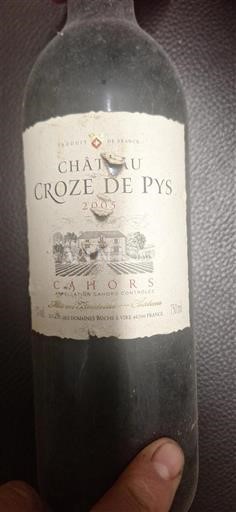 Sud-Ovest Cahors Château Croze de Pys 2005