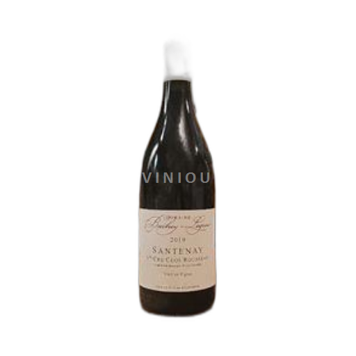 Burgundija Santenay Premier Cru Domaine Bachey-Legros 1er Cru Clos Rousseau Vieilles Vignes 2019