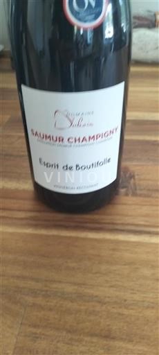 Údolí Loiry Saumur-Champigny Domaine Dubois Esprit de Boutifolle 2023