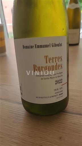 Vin Blanc sec Terres Burgondes Domaine Emmanuel Giboulot 2022 France Régions de l'Est Sainte-Marie-la-Blanche IGP bio