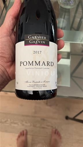 Burgundy Pommard Garnier & Galvin 2017