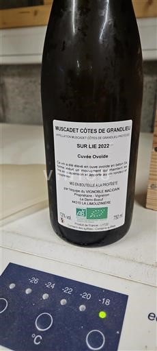 Loiredalen Muscadet-Côtes-de-Grand-Lieu Vignoble Malidain Ovoïde 2022