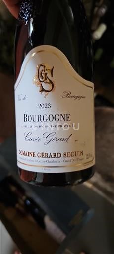 Burgundi Bourgogne Domaine Gérard Seguin Gérard 2023