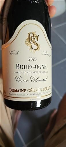 Burgundi Bourgogne Domaine Gérard Seguin Chantal 2023