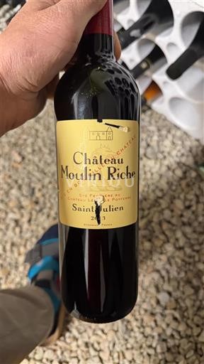 Бордо Сен-Жюльєн Château Moulin Riche 2013