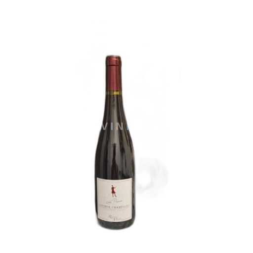 Valle del Loira Saumur-Champigny Roche Ville Le Prince 2015
