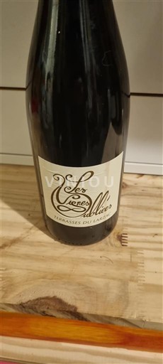 Languedoc Terrasses-du-Larzac Les vignes oubliées Les vignes oubliées 2020