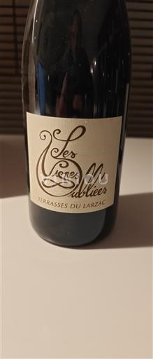 Langvedok Terrasses-du-Larzac Les vignes oubliées Les vignes oubliées 2020