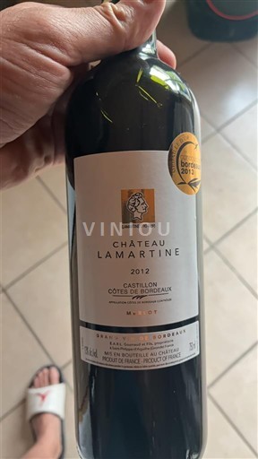 Bordeaux Castillon-côtes-de-bordeaux Château Lamartine 2012
