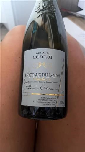 Loire Valley Coteaux-du-Layon Domaine Godeau Clos des Ortinières 2007