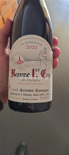 Bourgogne Ospecificerad Premier Cru Sainson-Rossignol Les Teurons 2022