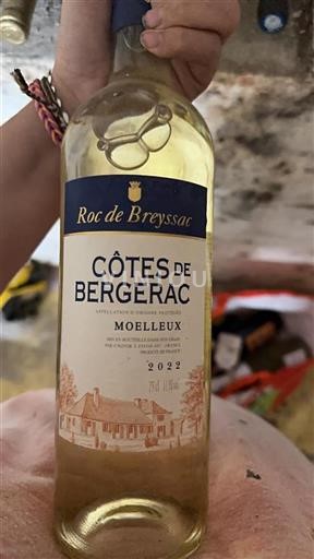 Sudoeste Côtes de Bergerac Roc de Breyssac 2022
