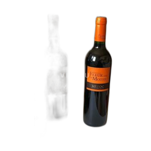 Burdeos Médoc Château Fleur La Mothe 2009
