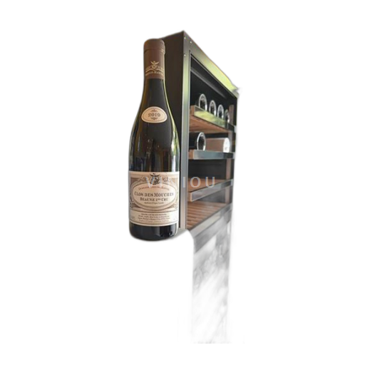 Bourgondië Niet gespecificeerd Premier Cru Domaine Seguin-Manuel Clos des Mouches 2019