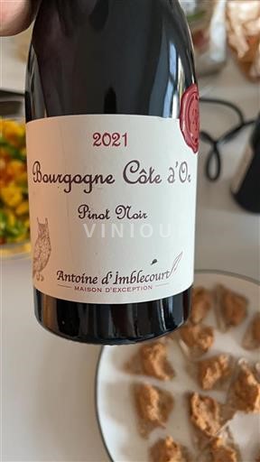 Burgundija Bourgogne zlata obala Antoine Imblecourt 2021